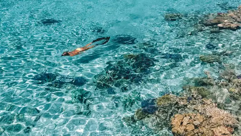 Woman in white bikini snorkels in clear teal sea on the PASPALEY PEARL Rowley Shoals & Kimberley Coast cruise.