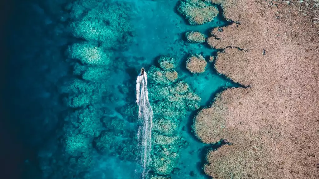 Aerial view of tender boat cruising reef with brown, blue & turquoise sea on the PASPALEY PEARL Unexplored Kimberley cruise.