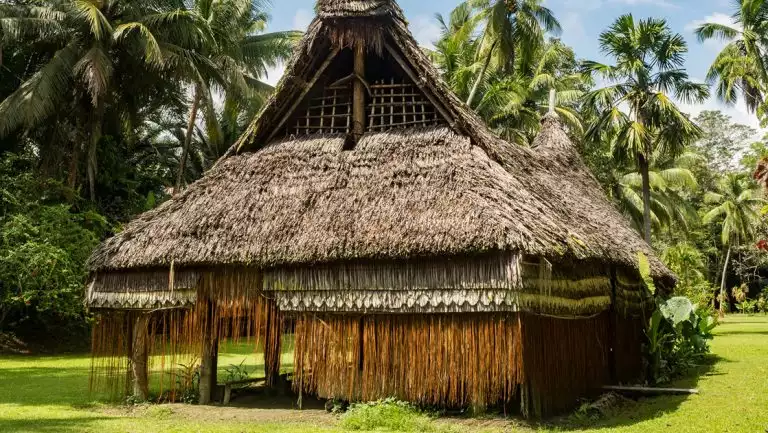 Thatch-roof conical hut with hanging, grass-skirt-like leaves sits in bright green grass among rainforest in Papua New Guinea.