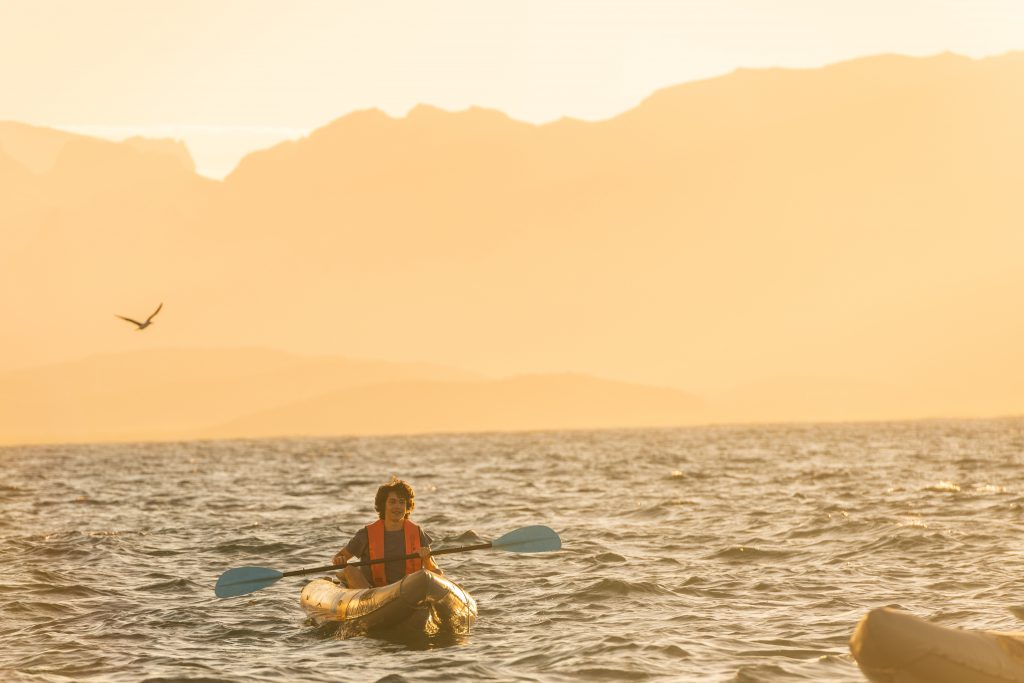 Man in kayak paddling through the small waves of baja as a bird flys by in the background as the sun sets
