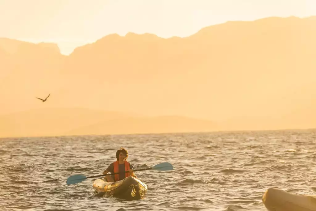 Man in kayak paddling through the small waves of baja as a bird flys by in the background as the sun sets 