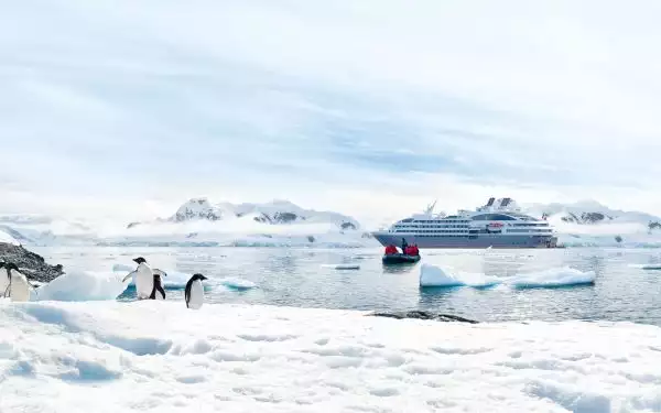 penguins pictured standing on snow in front of small cruise ship and small skiff headed to go look at the penguins