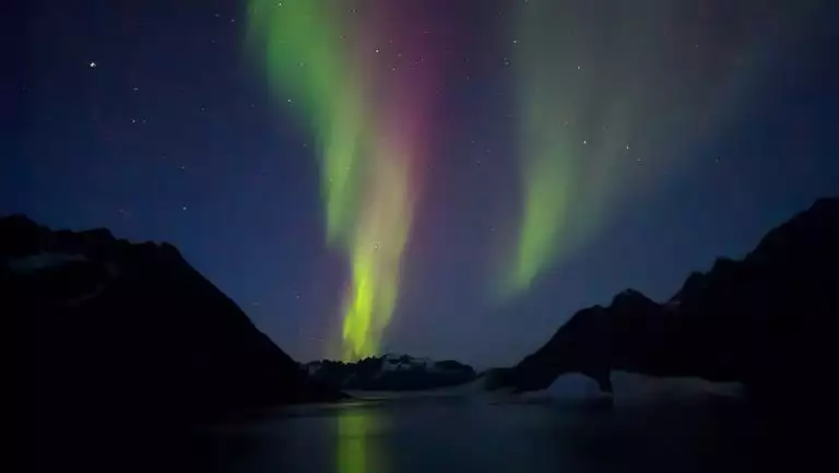 Northern lights of green & purple light up the sky above dark mountains overlooking a fjord in southeast Greenland.