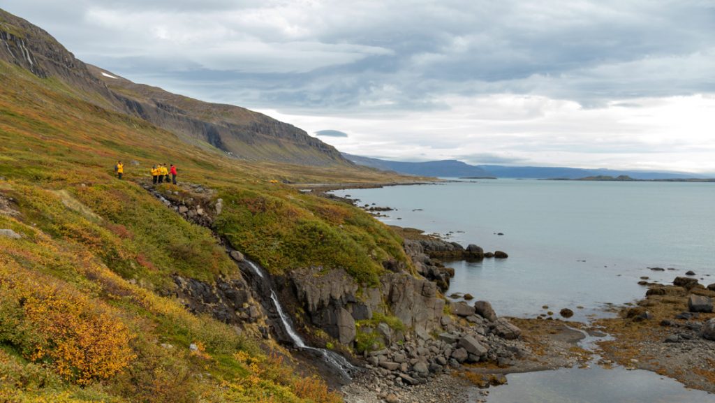 Iceland to Greenland cruise guests hike over golden tundra above waterfalls & calm sea on a cloudy day.