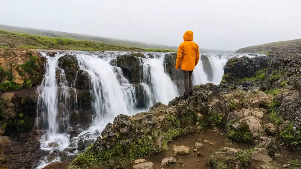 Traveler in yellow coat stands & looks at Kolugljufur Canyon rapids flowing in Vididalur gorge during summer in Iceland.