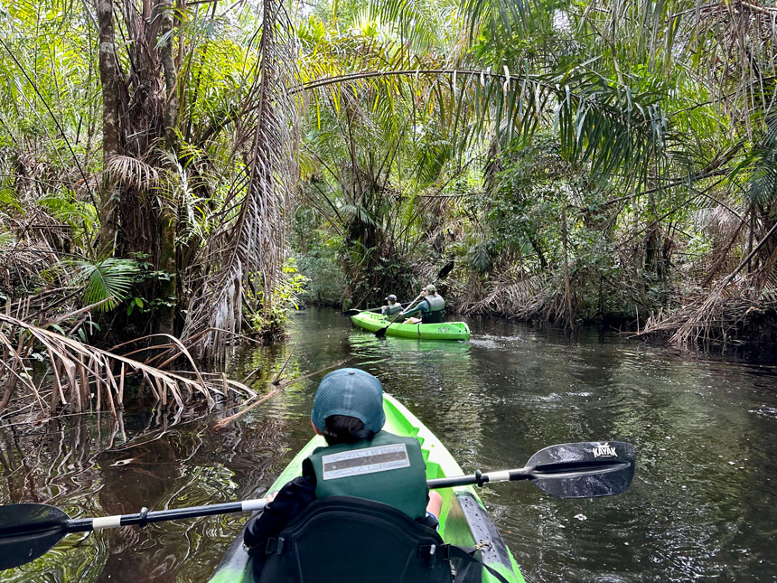 Family of 4 paddles 2 green tandem kayaks in a flooded forest of palm leaves during a Costa Rica family tour.