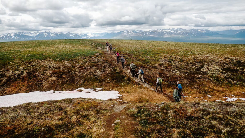 Small group of hikers on an Alaska hiking vacation walk a trail among green & gold tundra & patches of snow under clouds.