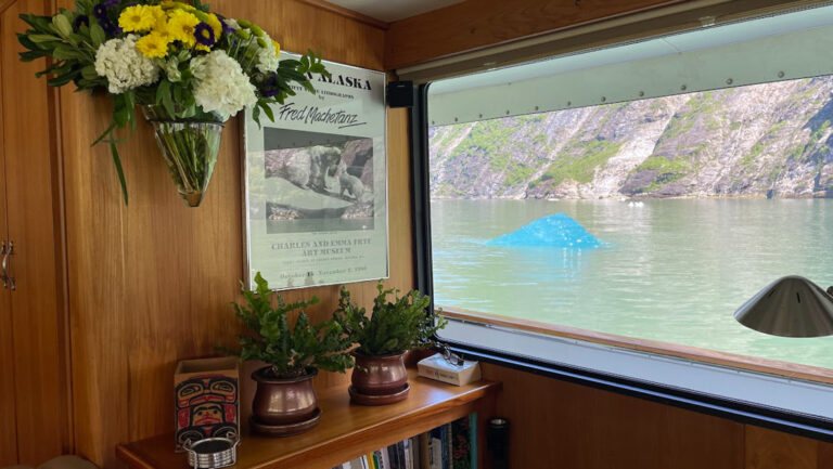 Interior saloon on Alaskan Story yacht with wood walls, bookshelf, plants & picture window looking out onto blue glacier bits.