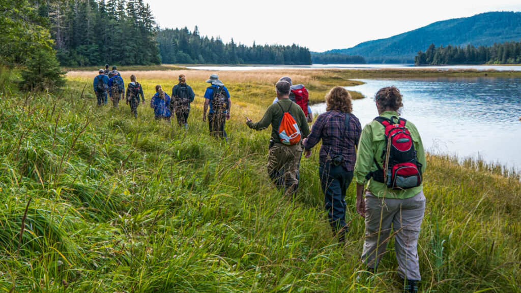 Small group of hikers on a Gulf of Alaska cruise walk a shoreline of tall grass under a hazy sky.