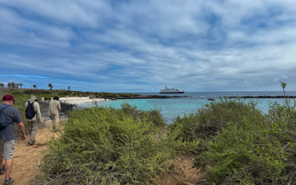 Hikers walking along the shore off their small cruise ship in the Galapagos on a bright sunny day