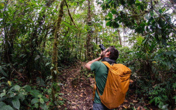 Man in green t-shirt with gold backpack stands in cloud forest & photographs the canopy above him on an Ecuador vacation.