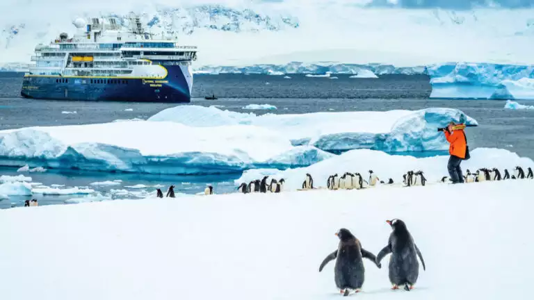 Two penguins walking toward the national geographic resolution with a photographer dressed in an orange jacket off in the distance