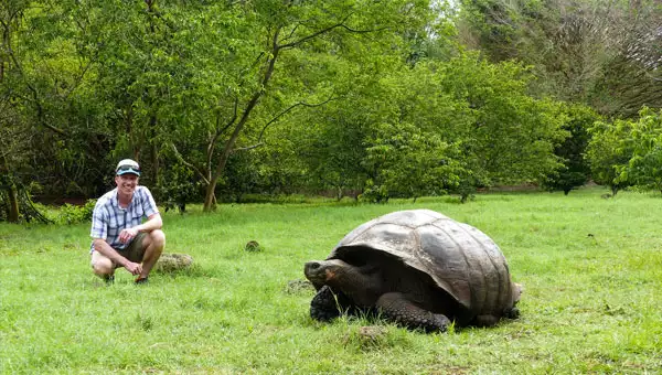 A traveler in a plaid shirt kneels in the grass next to a giant tortoise on a Galapagos adventure tour