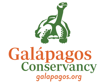 logo that says Galapagos conservancy galapgos.org with green Tortoise