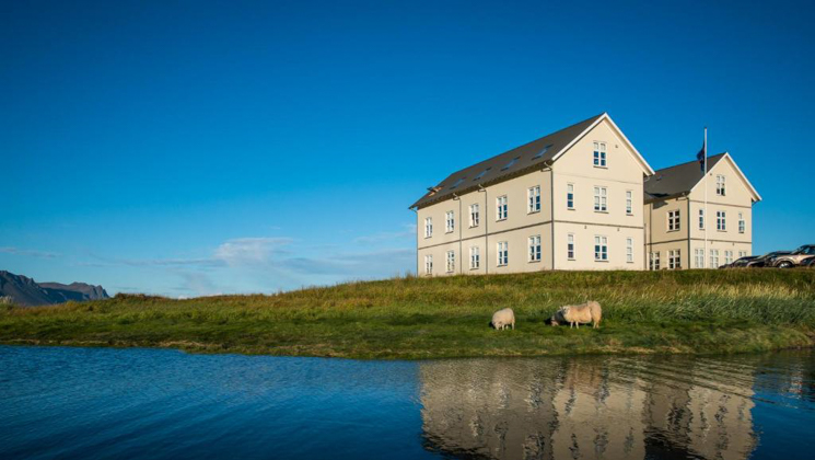 Icelandic Hotel Budir's side-by-side, 3-story yellow farmhouses sit in grass beside lake & 2 sheep under clear blue sky.