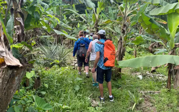 Small group of travelers with backpacks walk through dense green tropical foliage during a Panama tour.