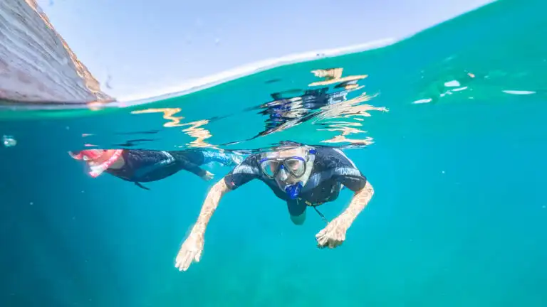 Guests snorkeling in the Gulf of Mexico, Mexico.