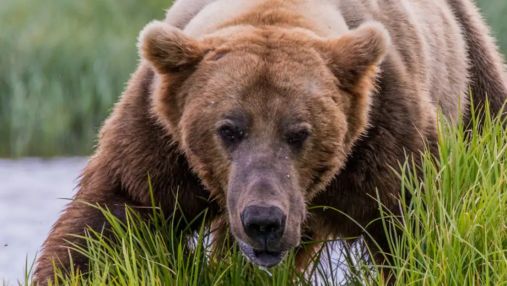 Photo by: Adventure Specialist Andrew Browning