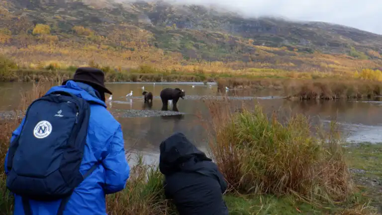 Travelers on a grizzly bear photography tour kneel in grass on a riverbank & photograph bears in a river backed by gold hills.