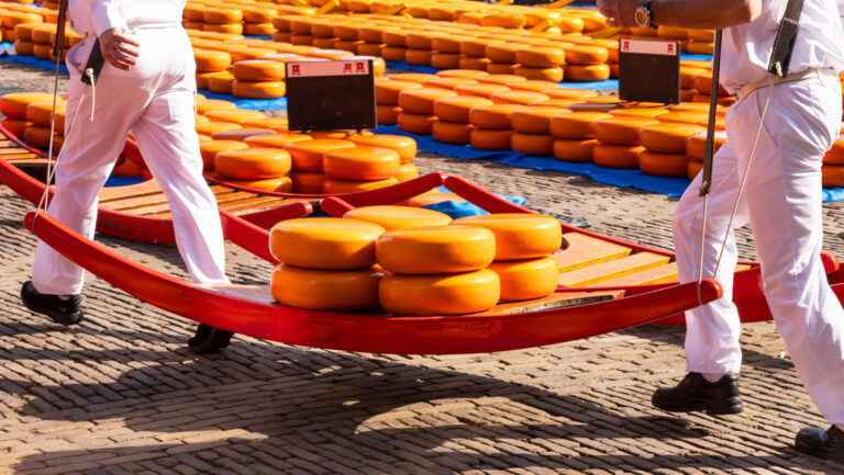 Workers in white carry orange-yellow wheels of cheese on a red wood sled over cobblestone, seen on a Holland river cruise.