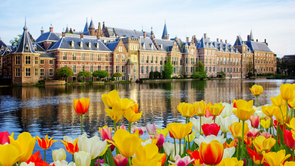 Yellow, red & white tulips line a calm river beside a red brick building with sharp steeples, seen on a Holland river cruise.