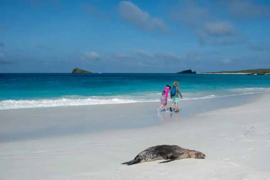 Couple walking on the beautiful white beach of Galapagos with bright blue waters and green lush landscapes 