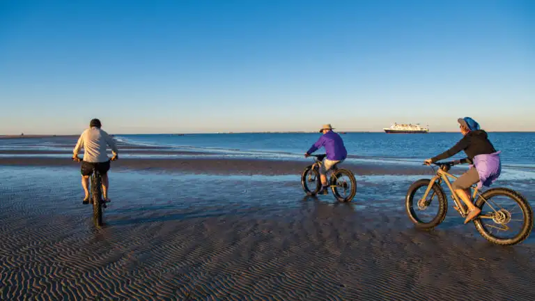 Guests ride Fat-tire bikes in sand dollar beach, Isla Magdalena, Baja California Sur, Mexico