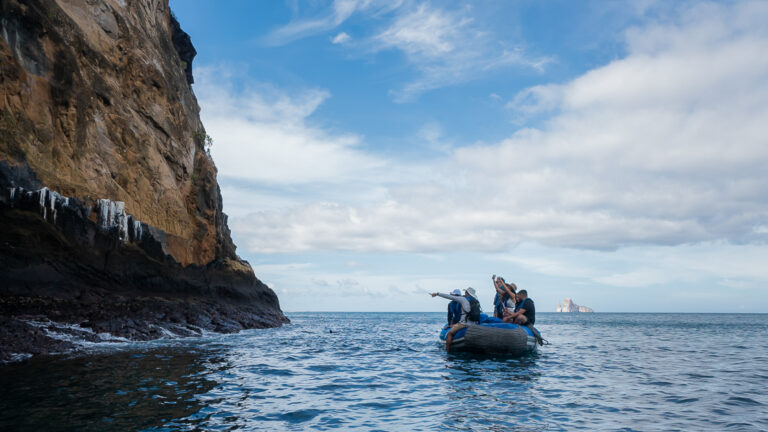 Travelers on a zodiac enjoying a wildlife viewing pointing to birds on the galapagos waters