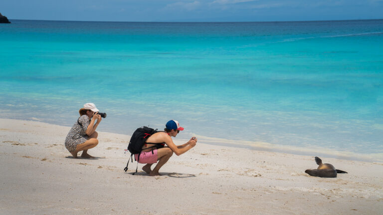 Two travelers squatted down on a picture-perfect beach snapping pictures of a sea lion lying out