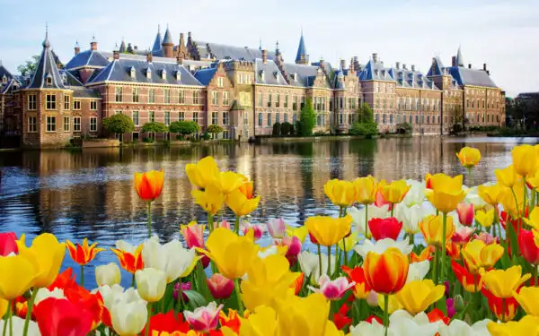 Yellow, red & white tulips line a calm river beside a red brick building with sharp steeples, seen on a Northern Europe cruises.